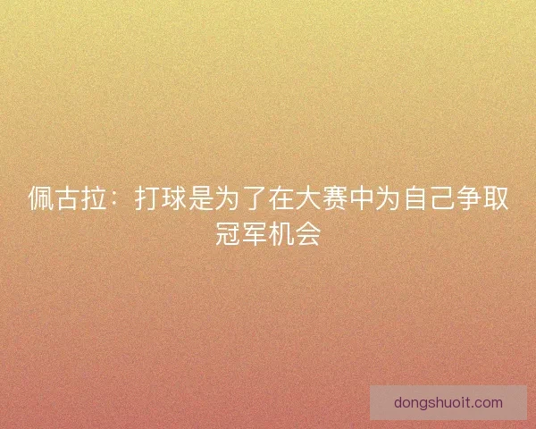佩古拉:打球是为了在大赛中为自己争取冠军机会 佩古拉:打球是为了在大赛中为自己争取冠军机会