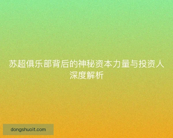 苏超俱乐部背后的神秘资本力量与投资人深度解析