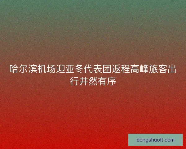 哈尔滨机场迎亚冬代表团返程高峰旅客出行井然有序 哈尔滨机场迎亚冬代表团返程高峰旅客出行井然有序