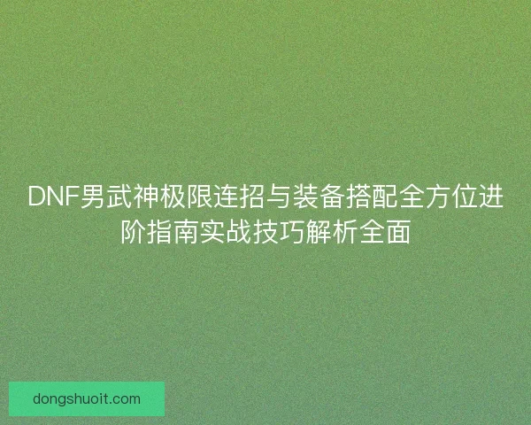 DNF男武神极限连招与装备搭配全方位进阶指南实战技巧解析全面