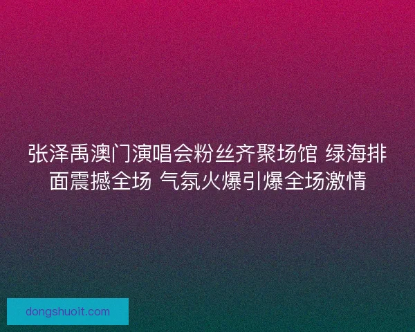 张泽禹澳门演唱会粉丝齐聚场馆 绿海排面震撼全场 气氛火爆引爆全场激情